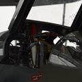 DSC_0511.JPG