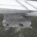 Tu-16KS_Orsha_0241.jpg
