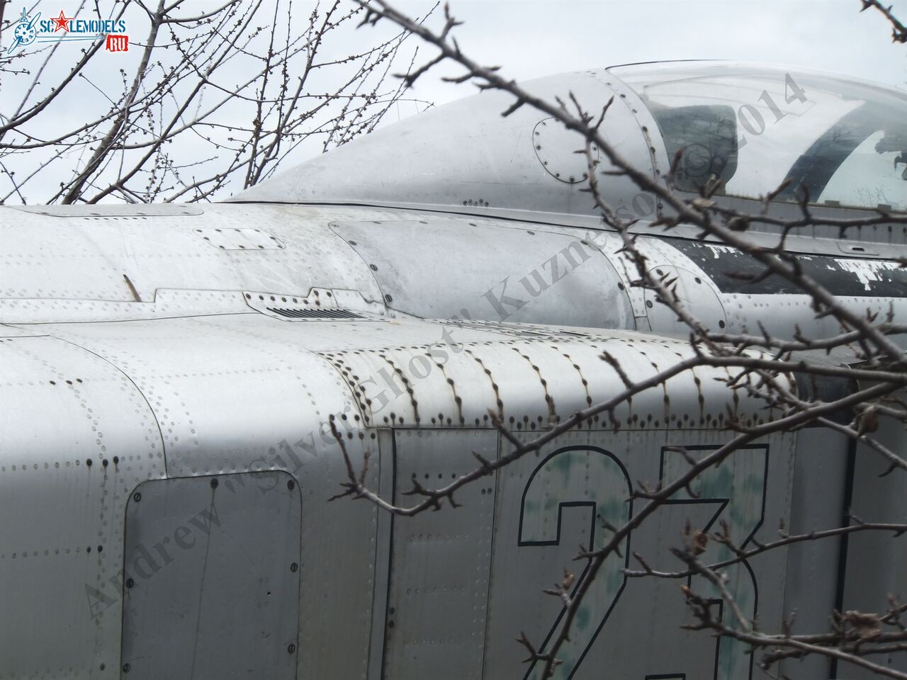 DSCF1065.JPG
