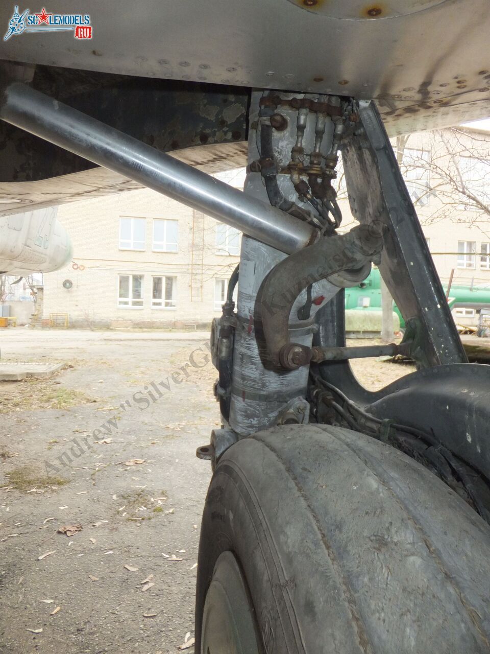DSCF1133.JPG