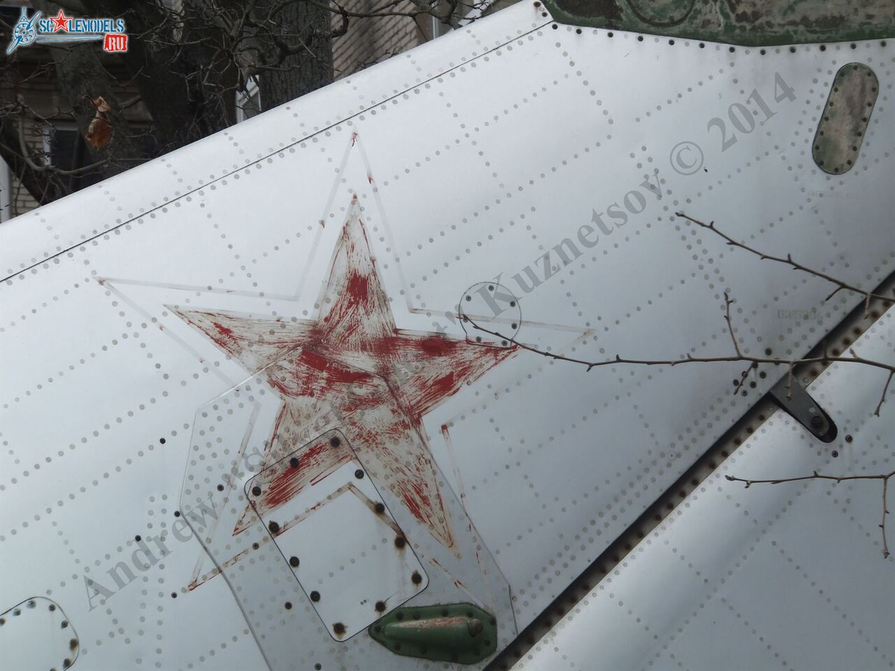 DSCF1186.JPG