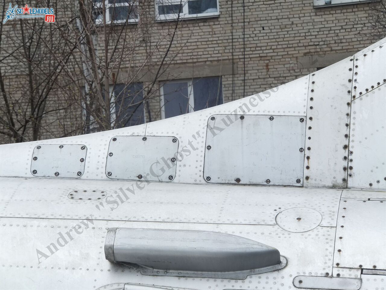 DSCF1194.JPG