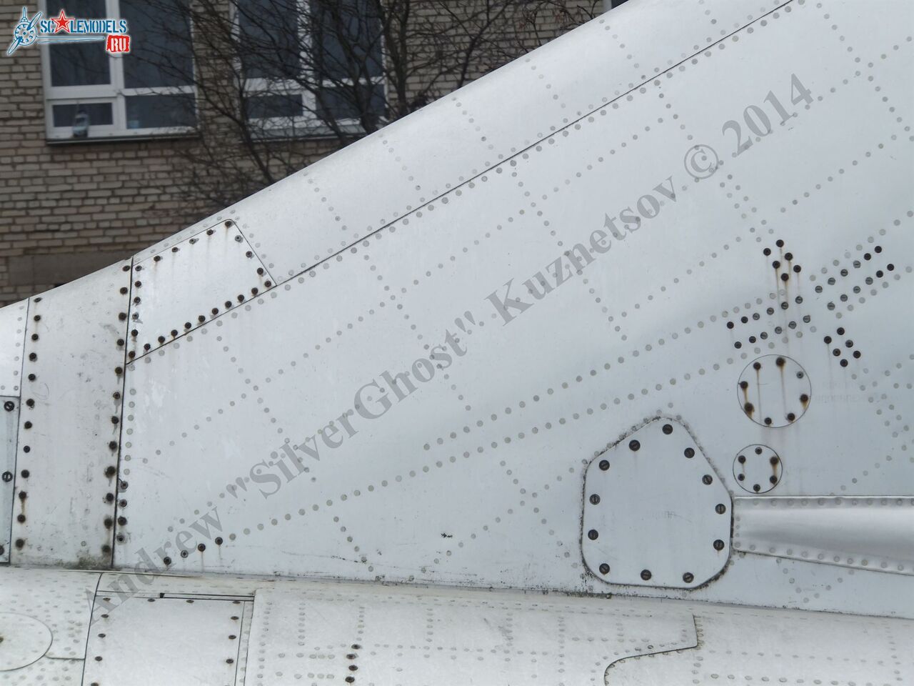 DSCF1195.JPG