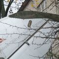 DSCF1255.JPG