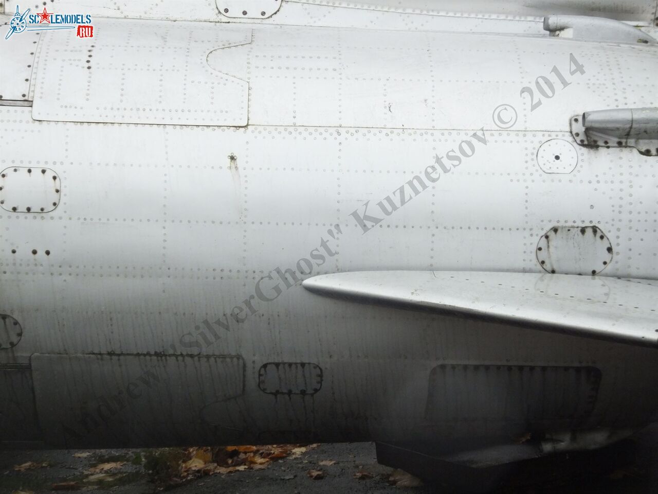 DSCF1265.JPG