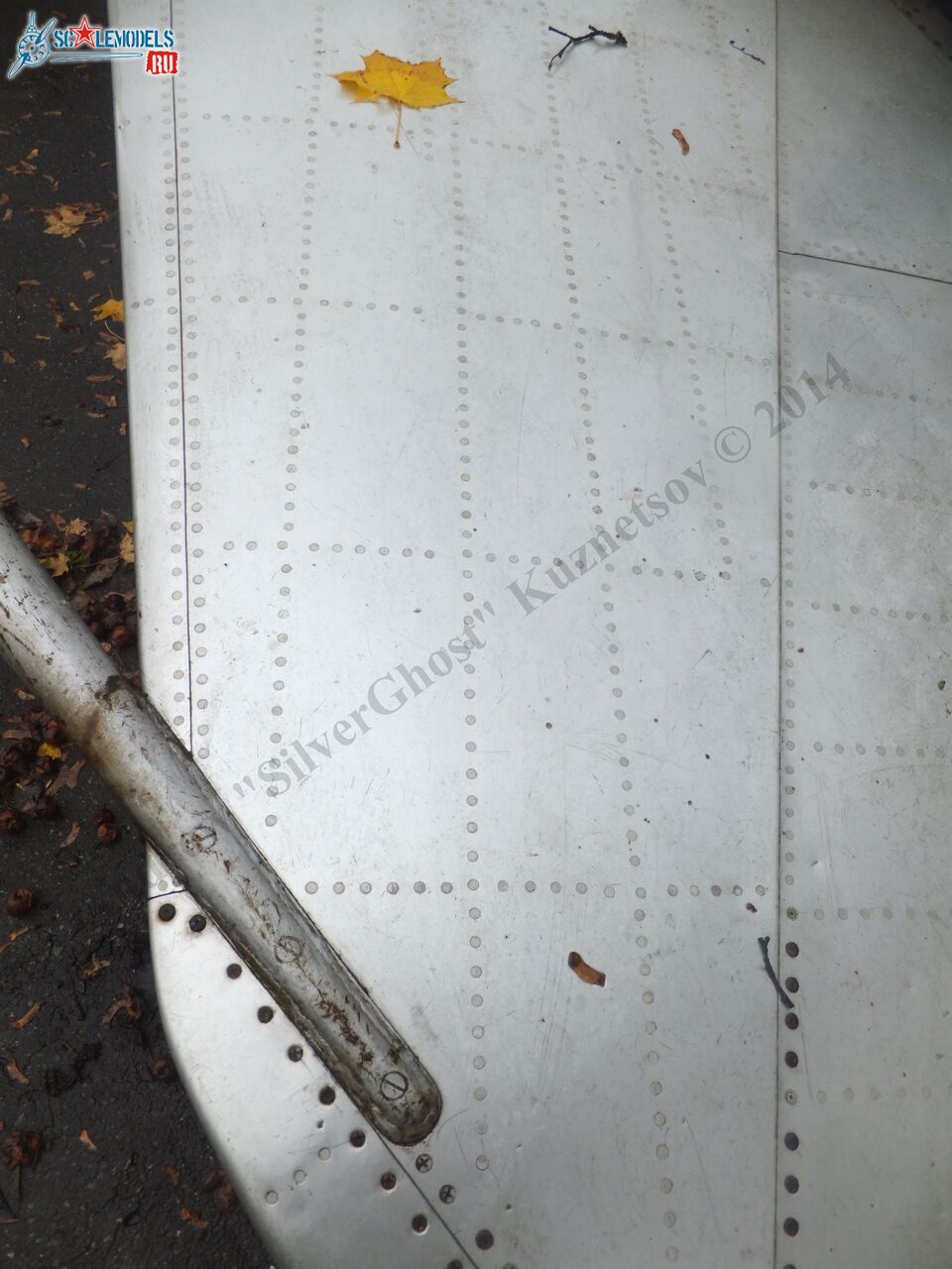 DSCF1271.JPG