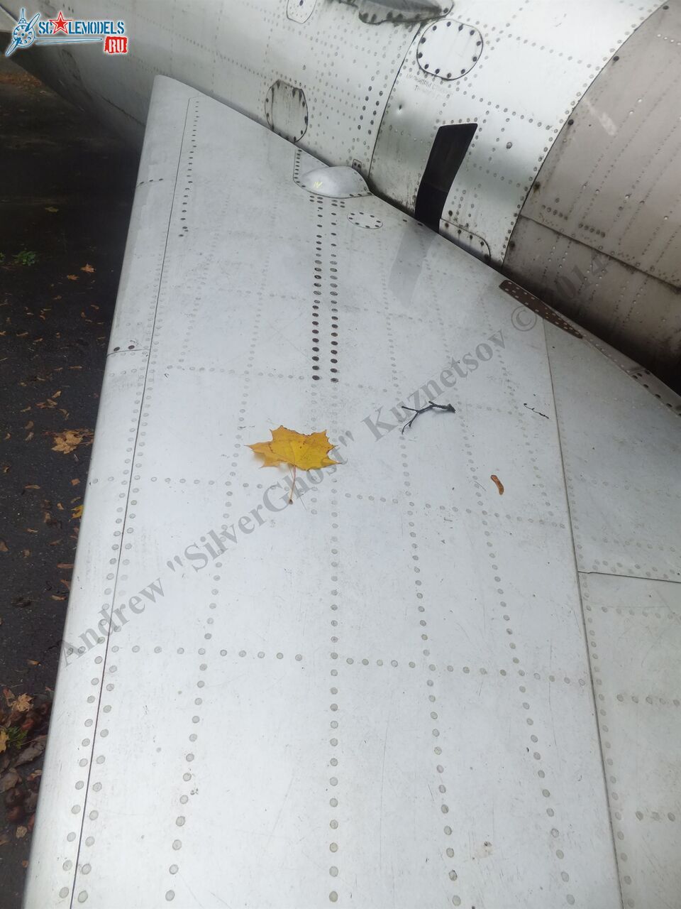 DSCF1274.JPG