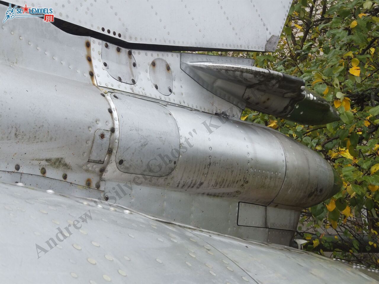 DSCF1291.JPG