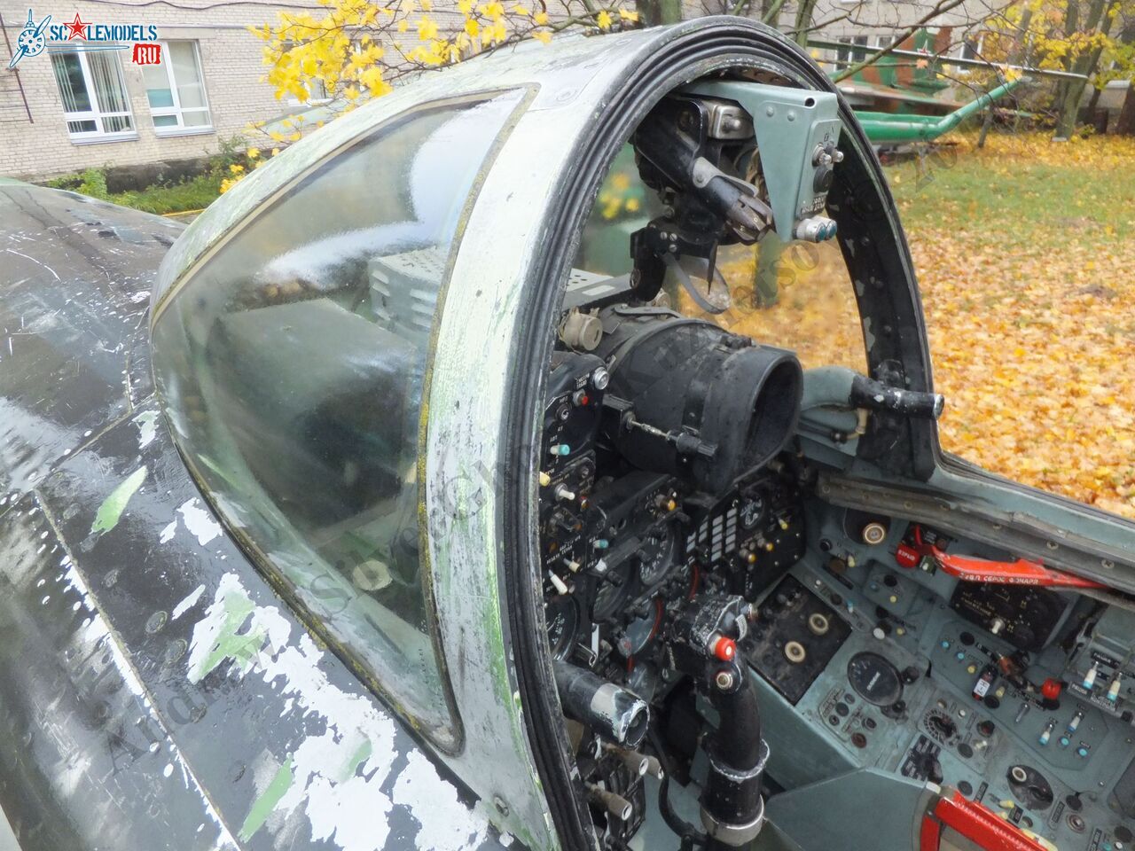 DSCF1362.JPG