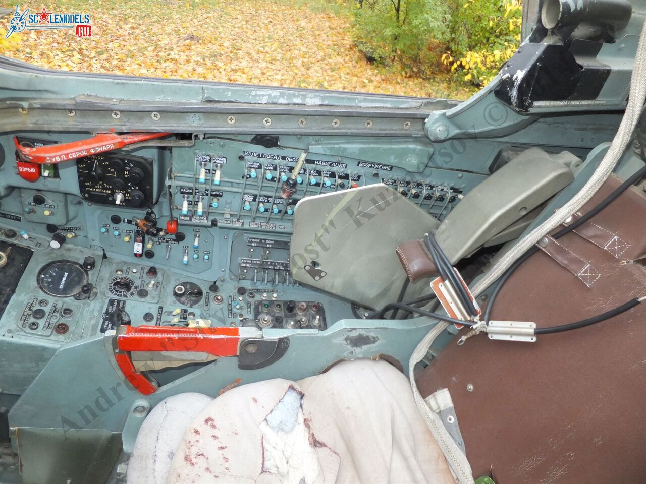DSCF1370.JPG