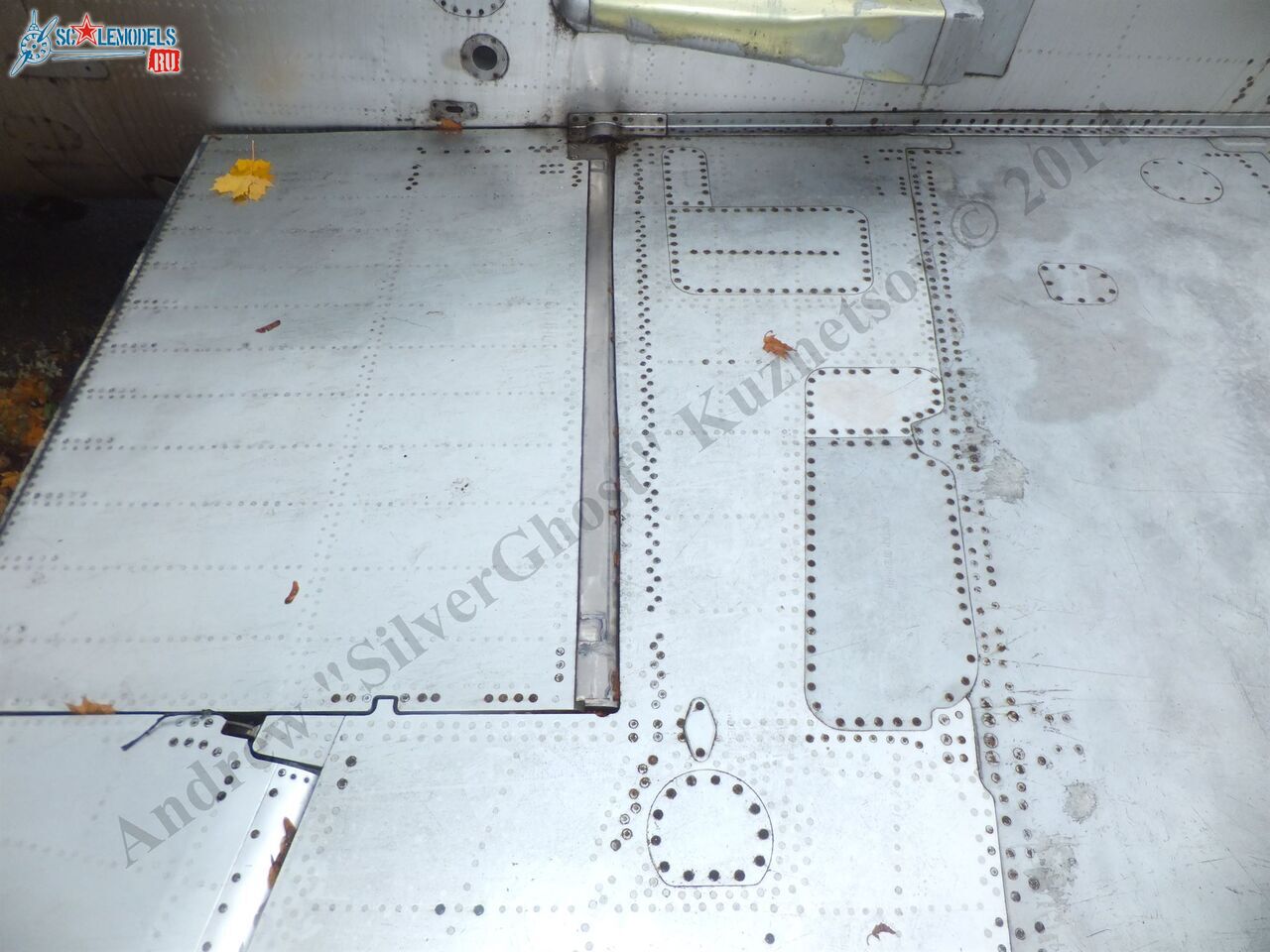 DSCF1539.JPG