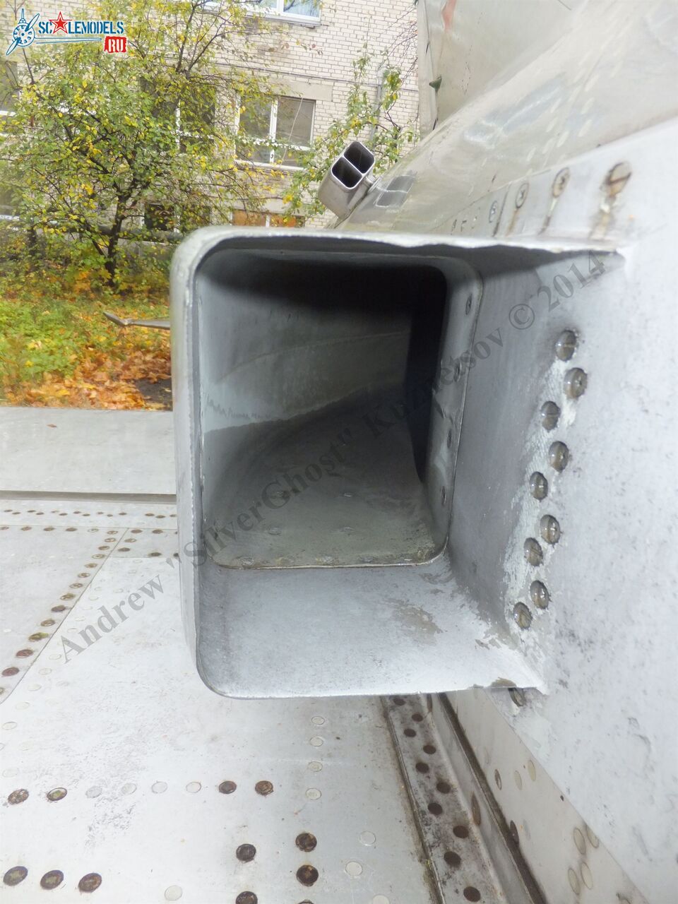 DSCF1554.JPG