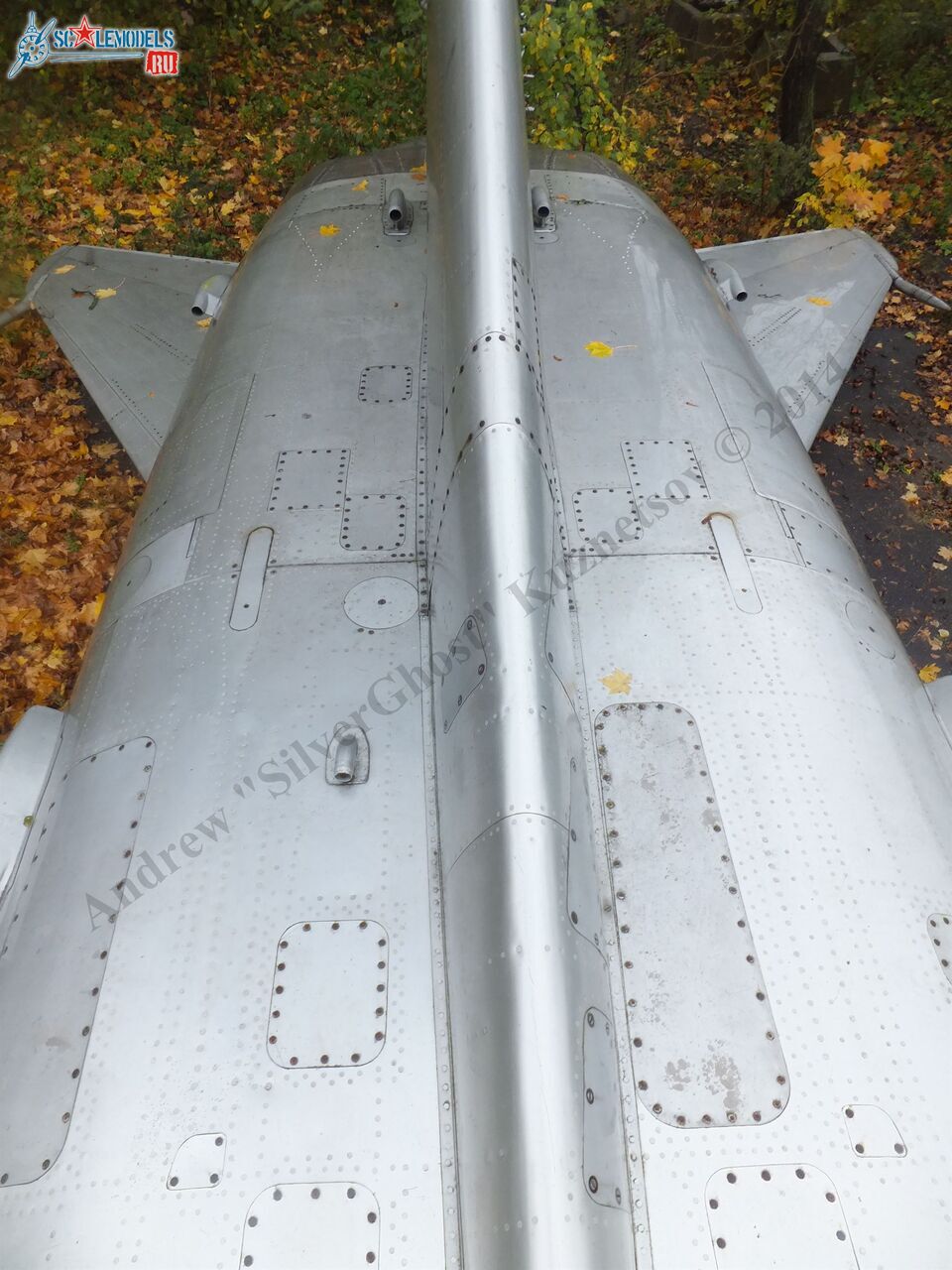 DSCF1571.JPG