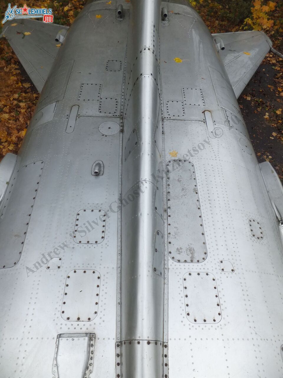 DSCF1572.JPG