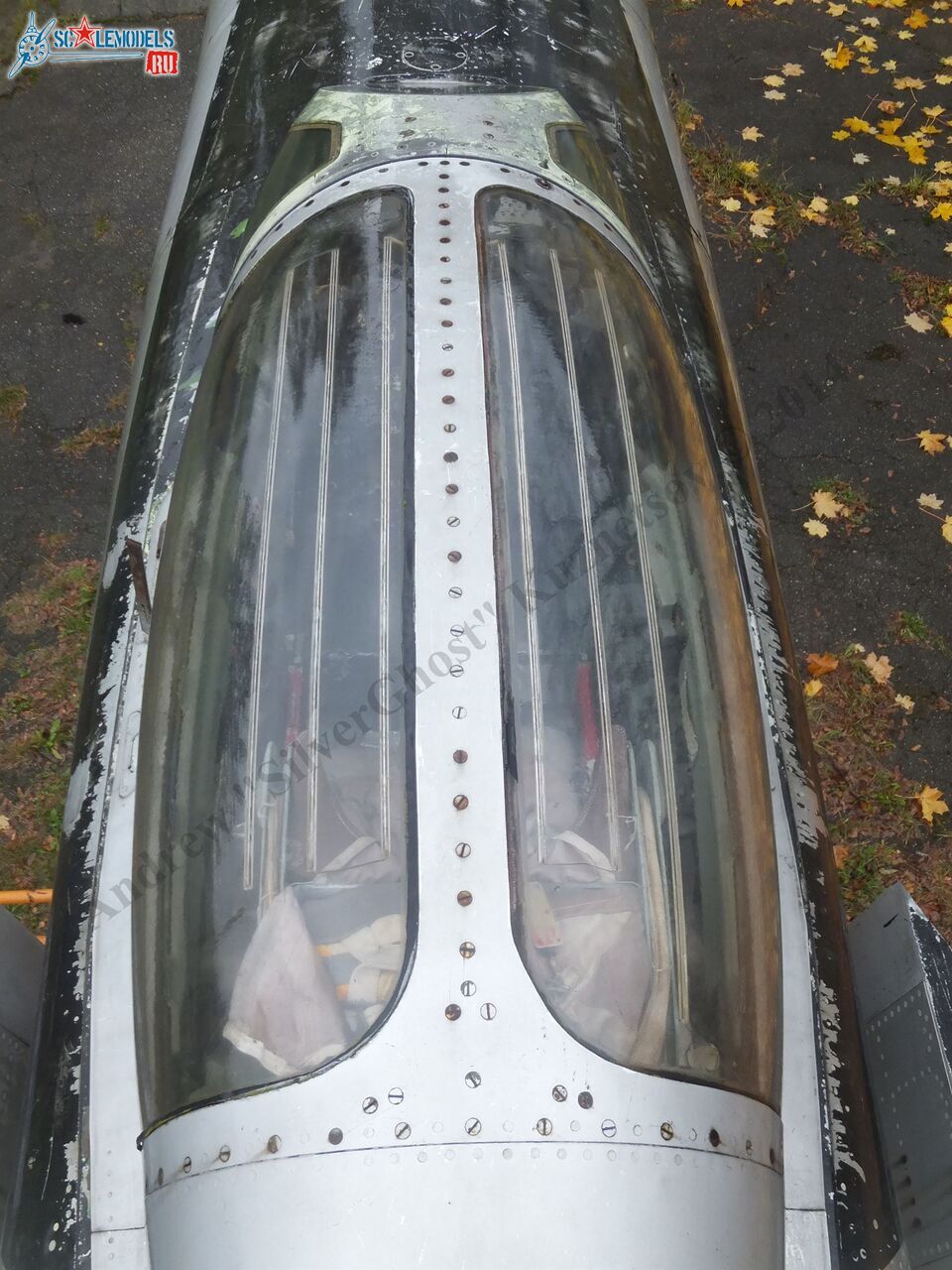 DSCF1600.JPG