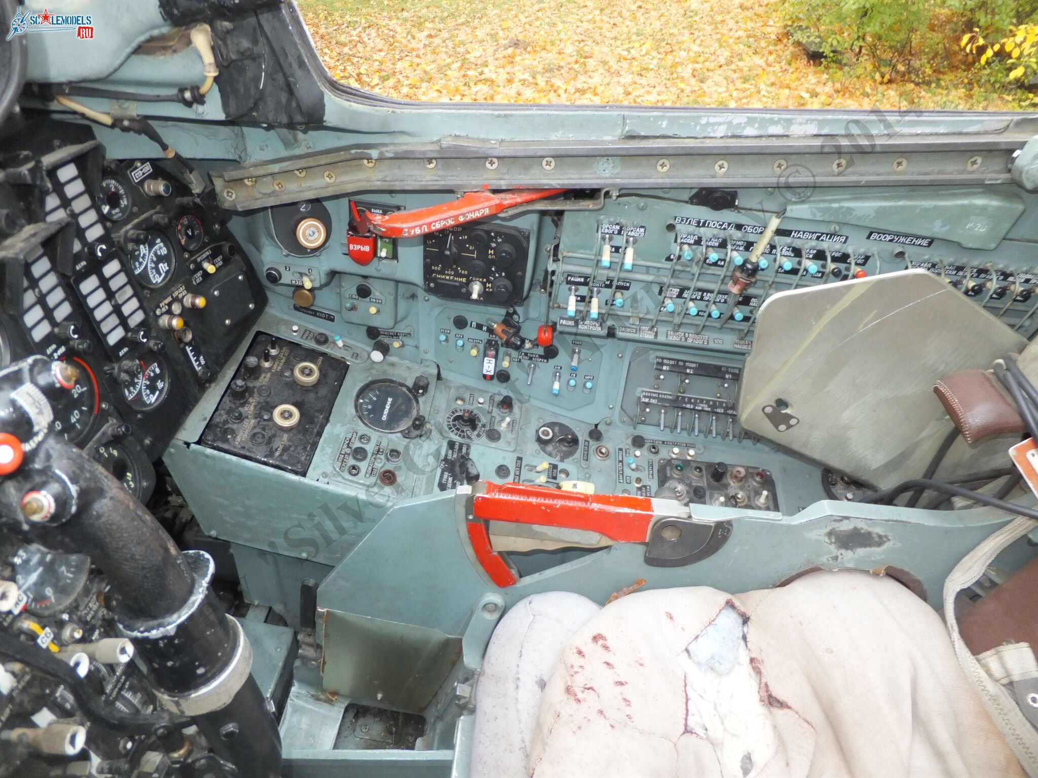 DSCF1369.JPG