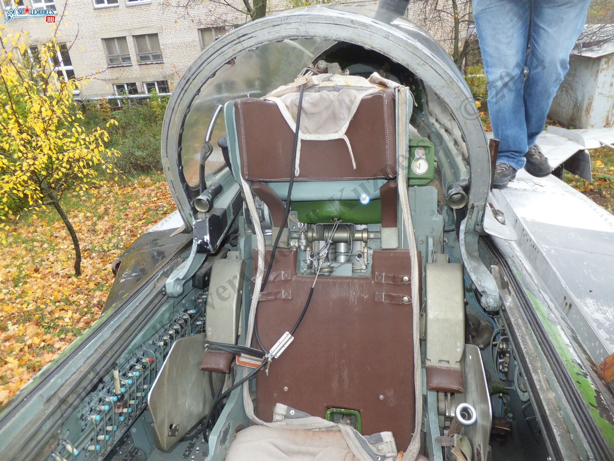 DSCF1393.JPG