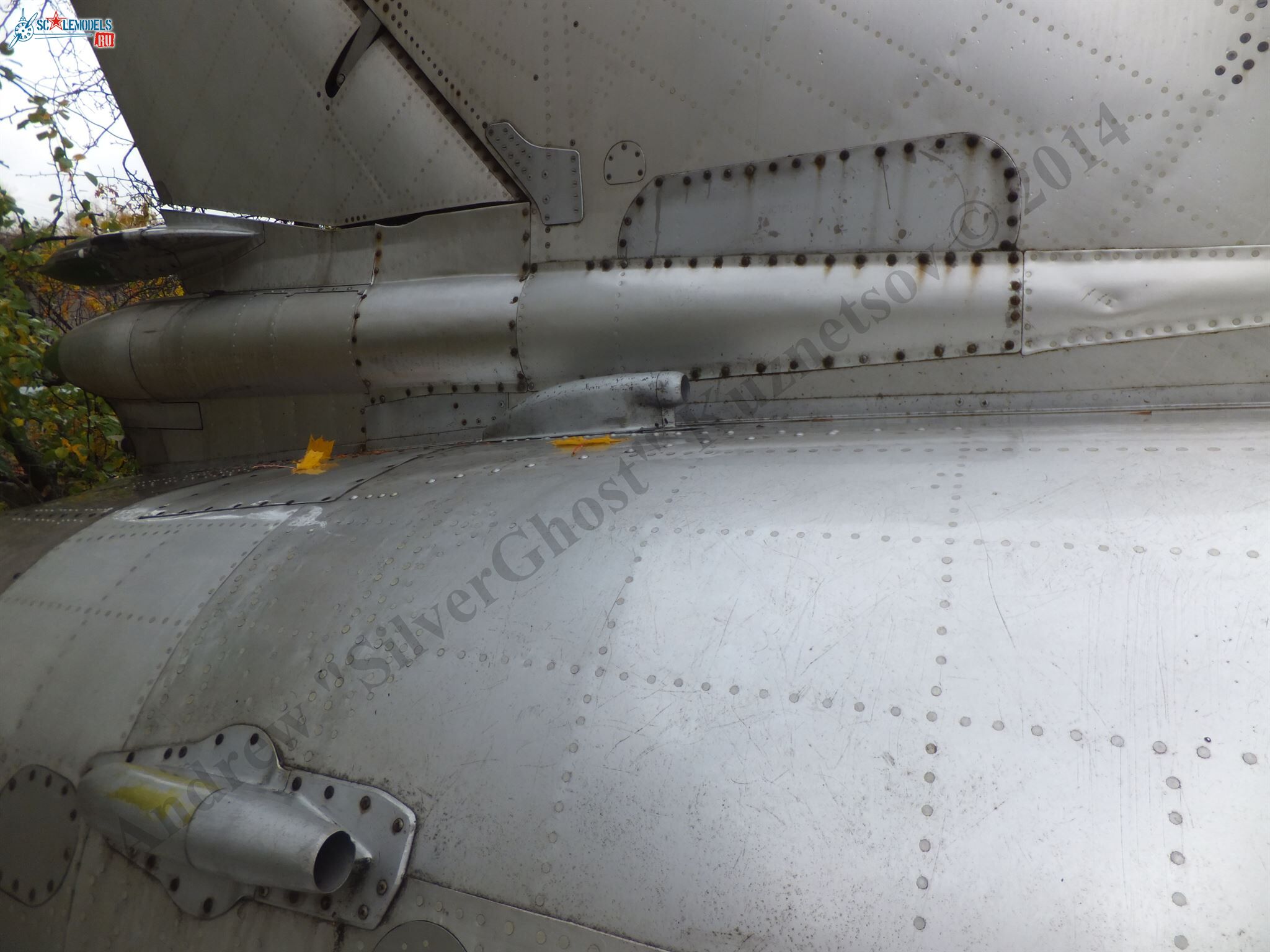DSCF1489.JPG