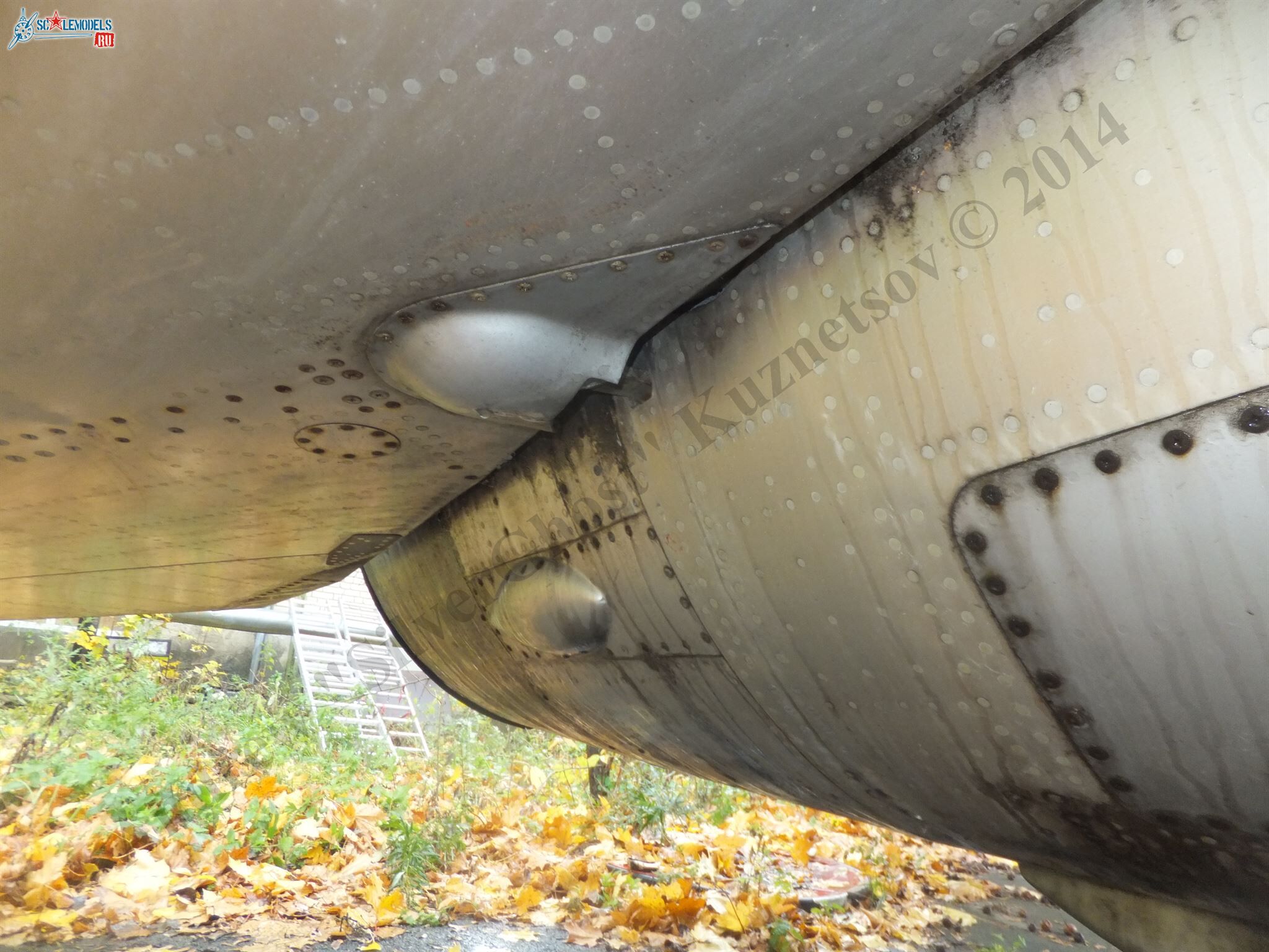 DSCF1491.JPG