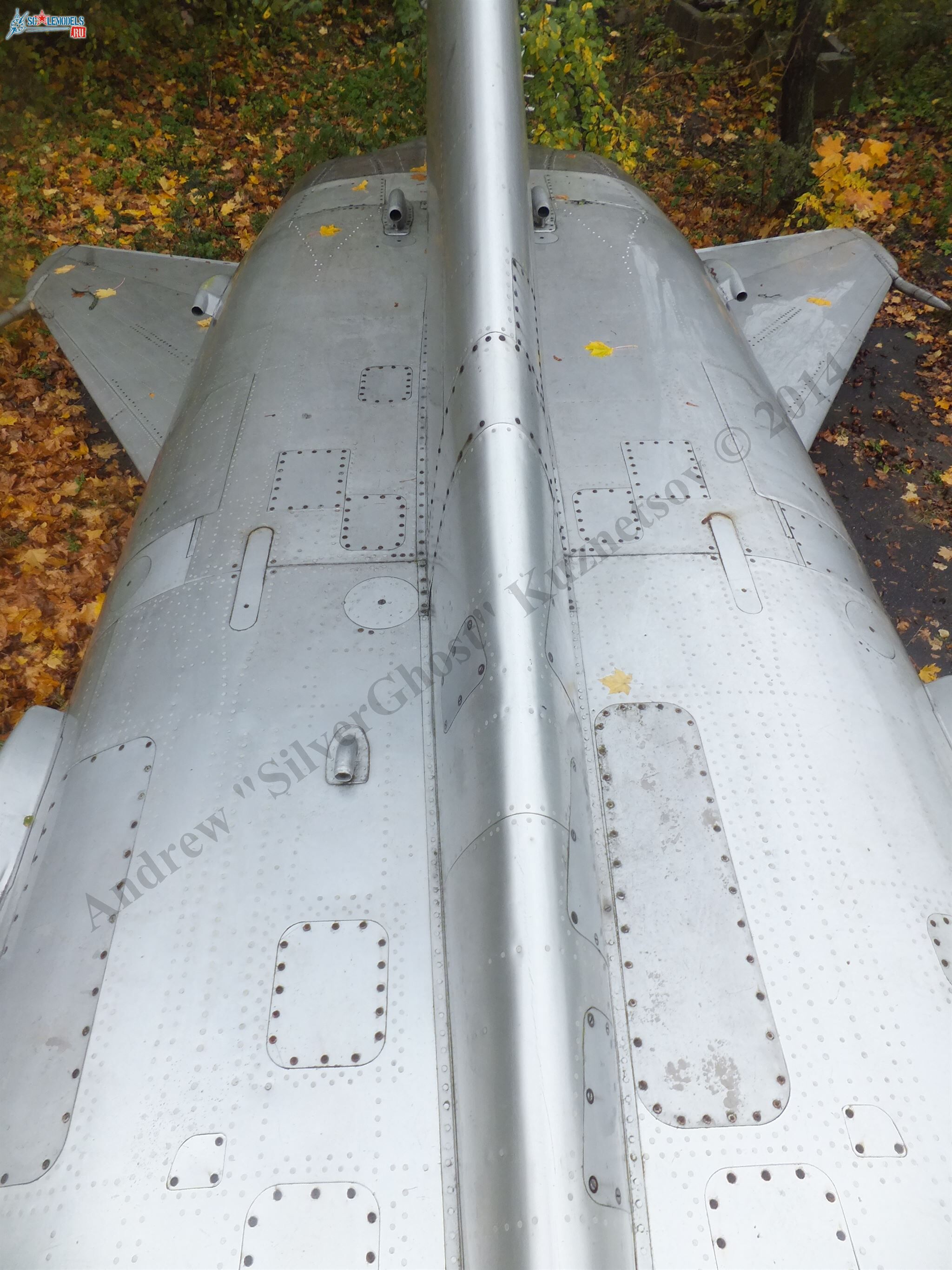 DSCF1571.JPG