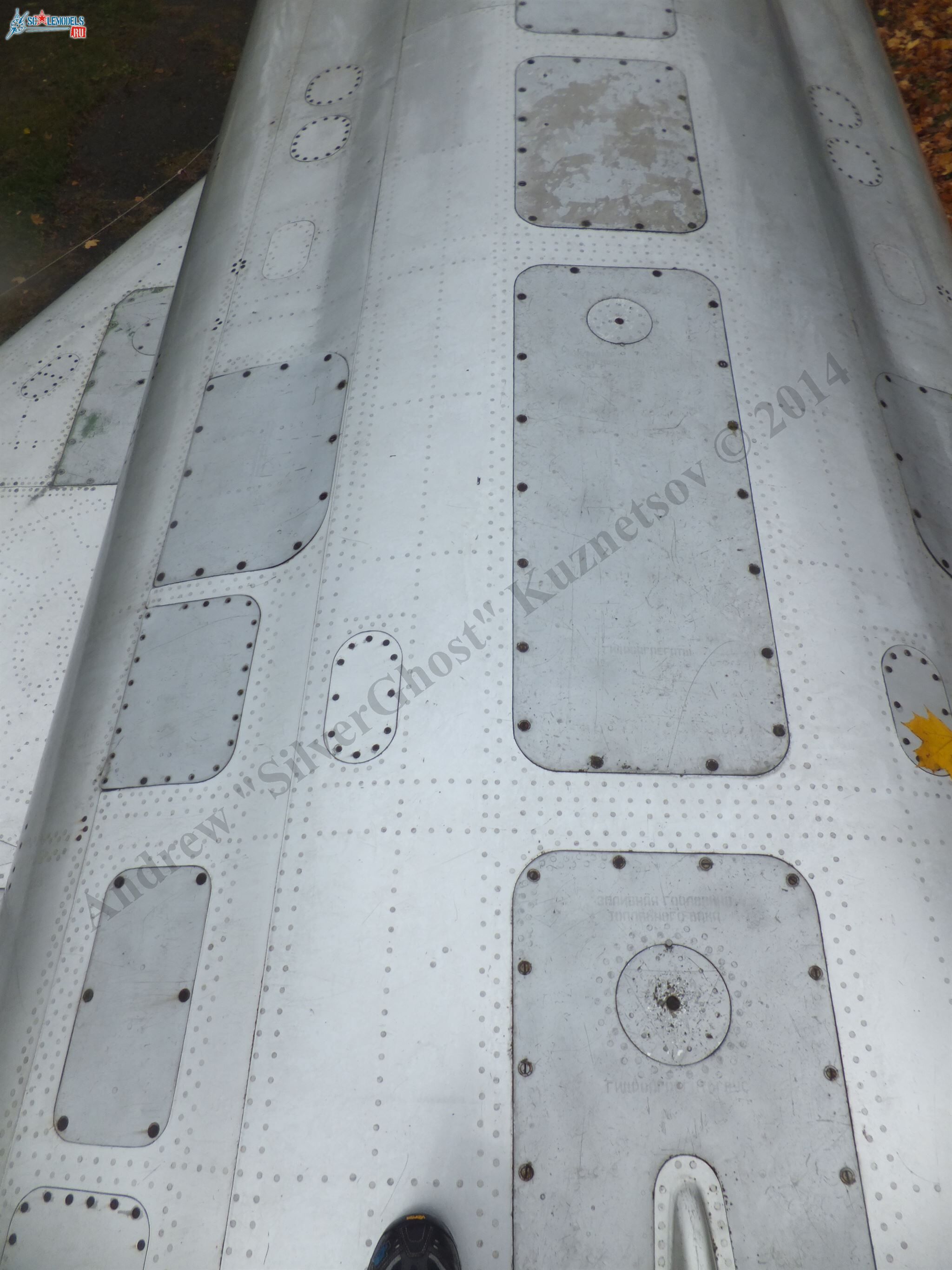 DSCF1591.JPG