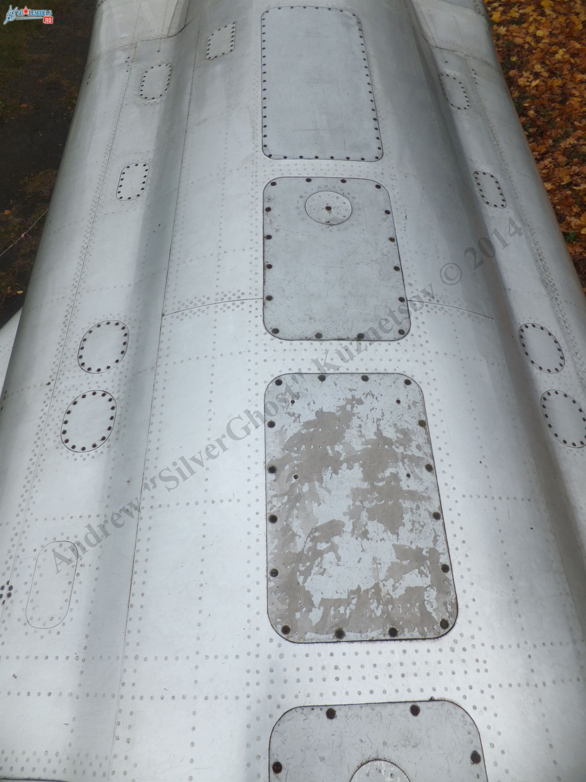 DSCF1593.JPG