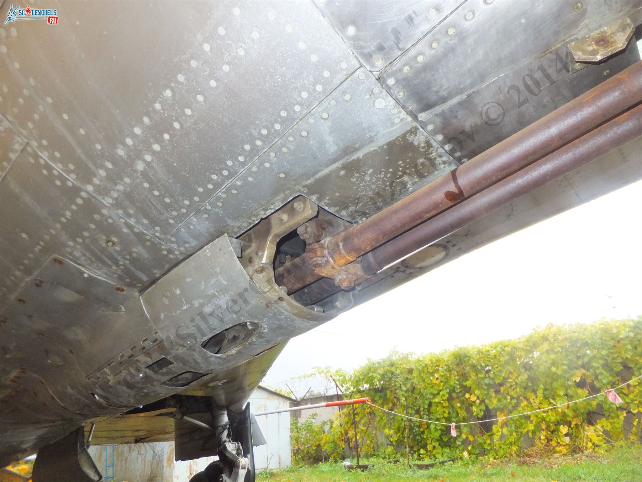 DSCF1823.JPG