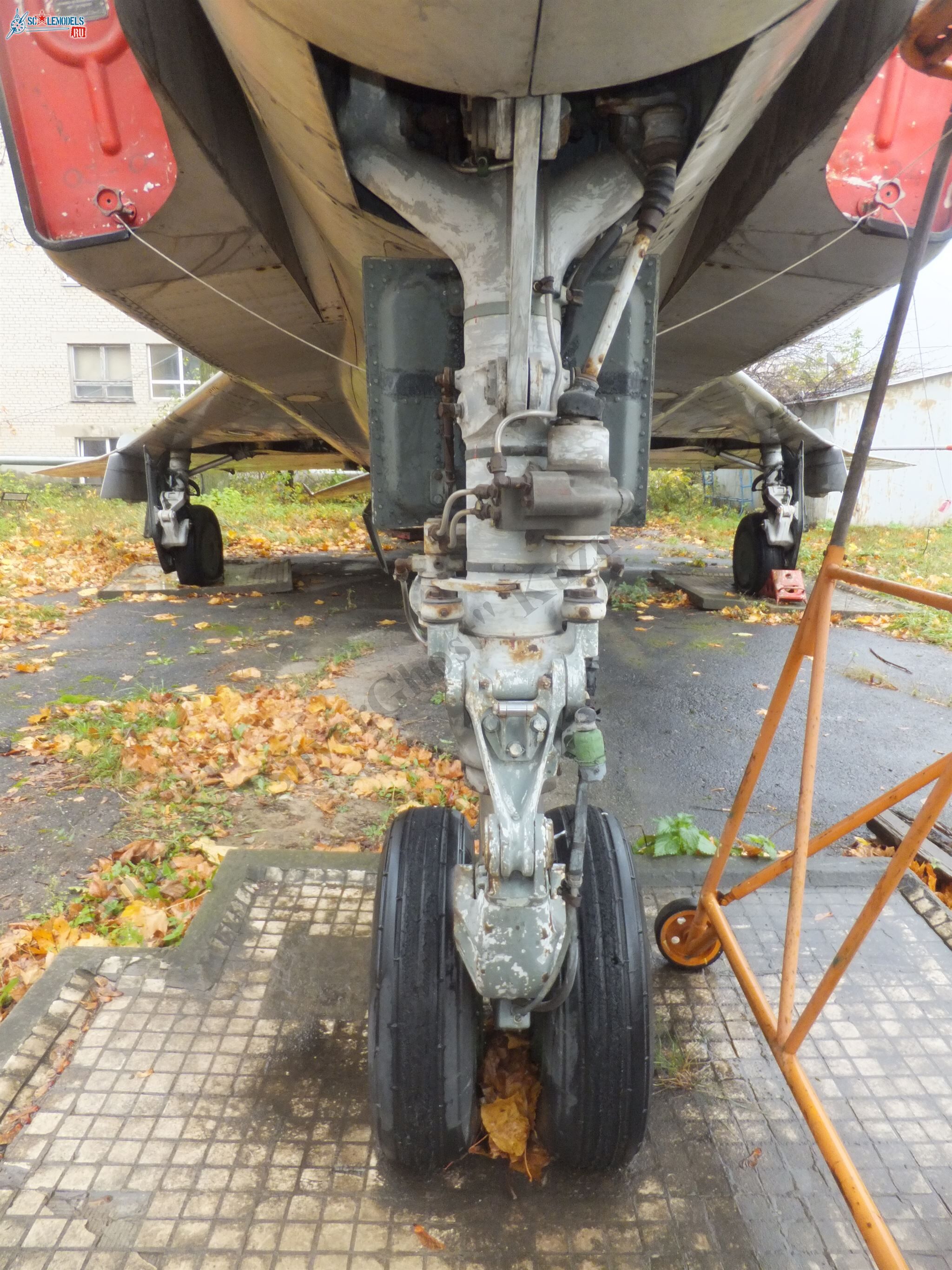 DSCF1843.JPG