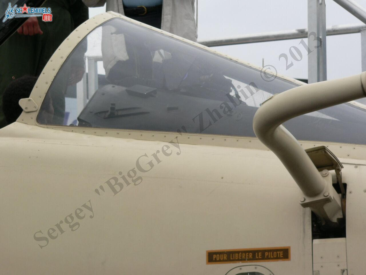 Jaguar A_03.JPG