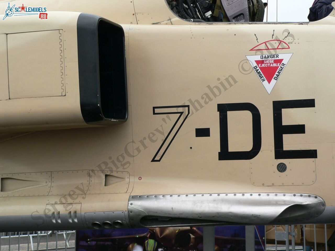 Jaguar A_06.JPG