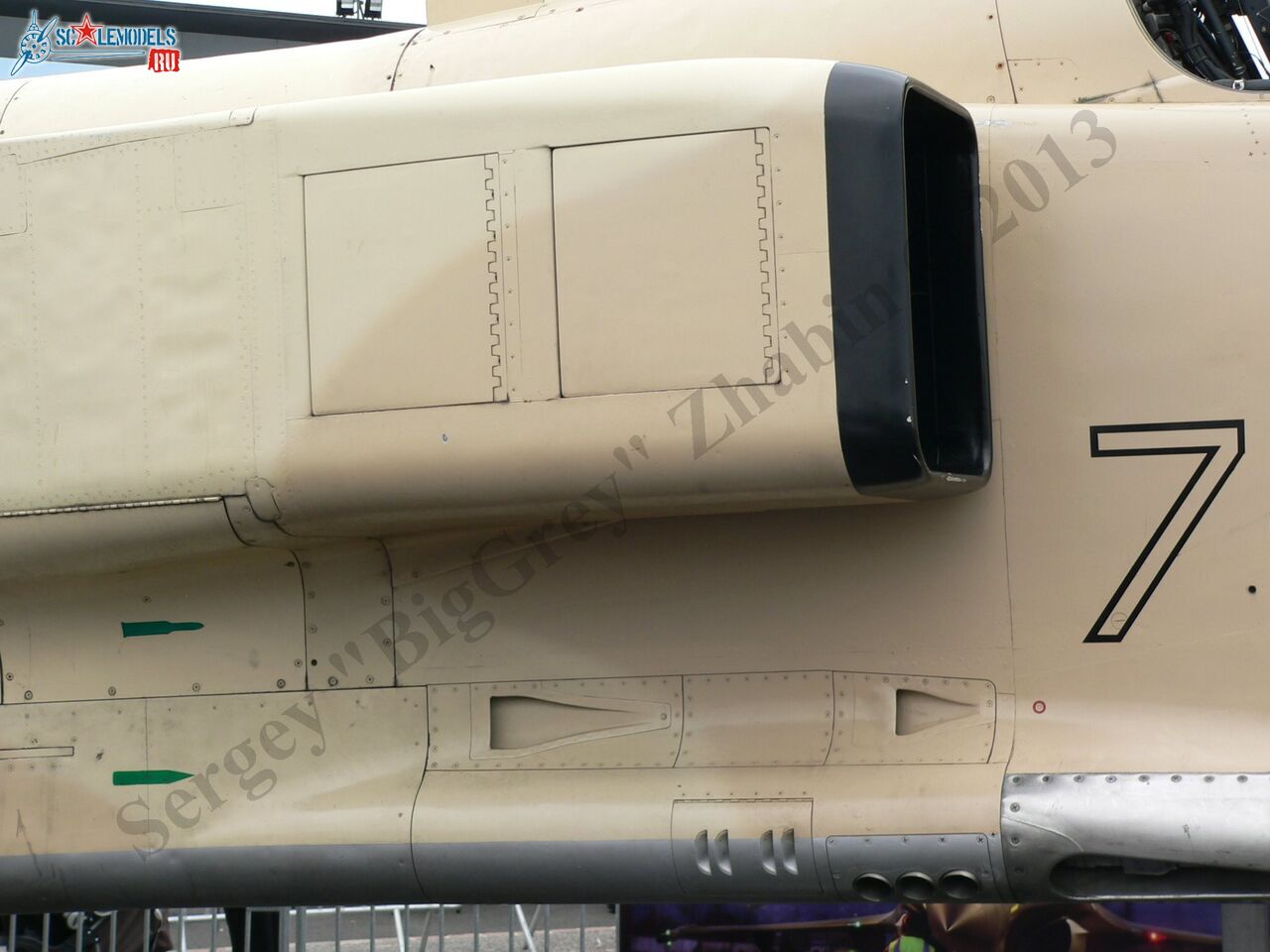 Jaguar A_07.JPG