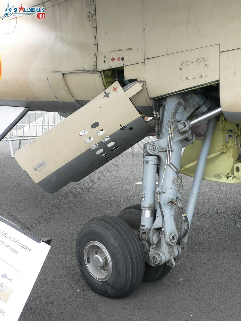 Jaguar A_11.jpg