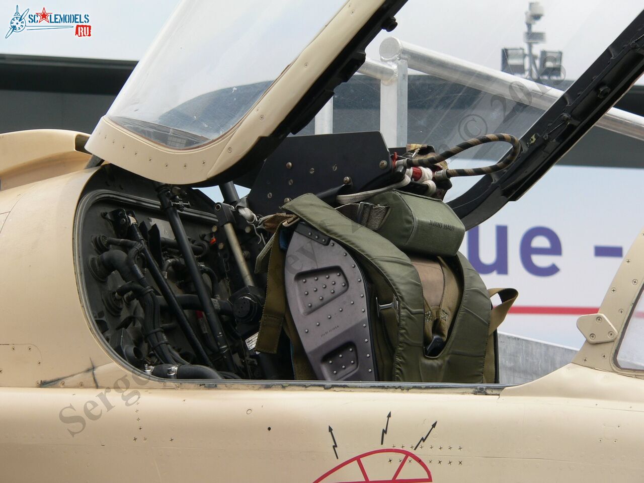 Jaguar A_25.JPG