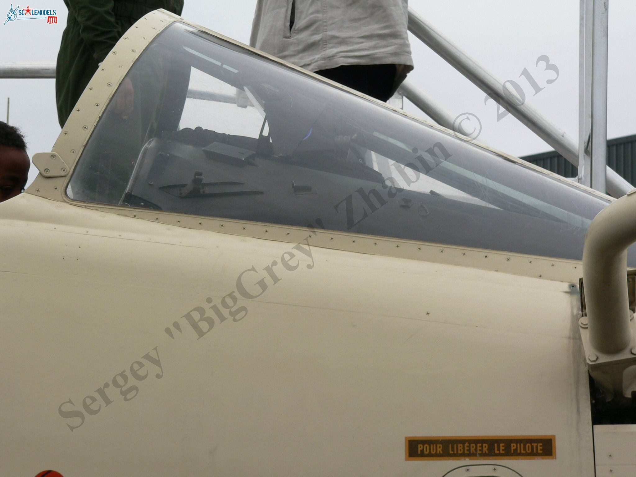 Jaguar A_04.JPG