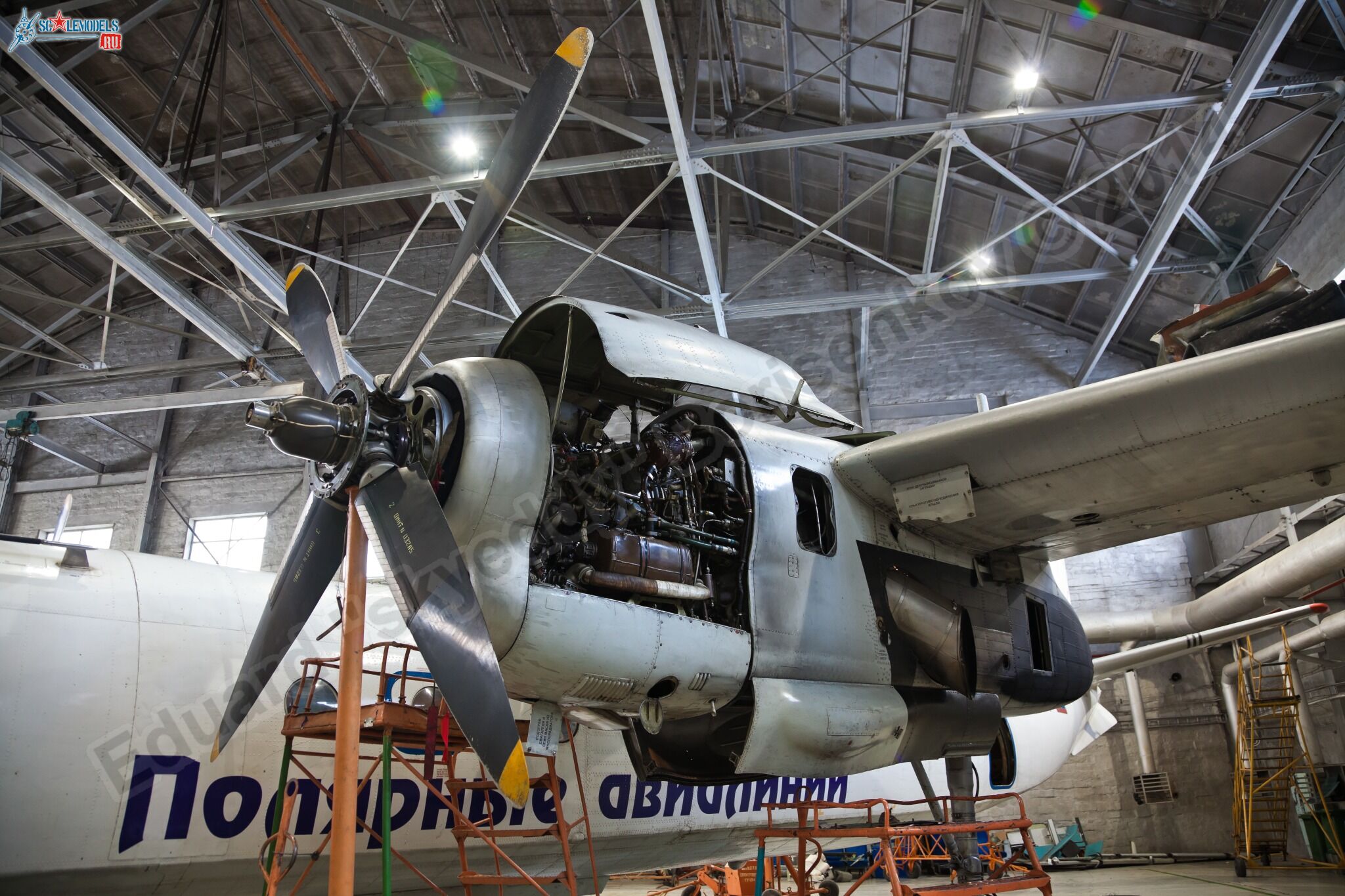 An-24RV_RA-47357_0008.jpg