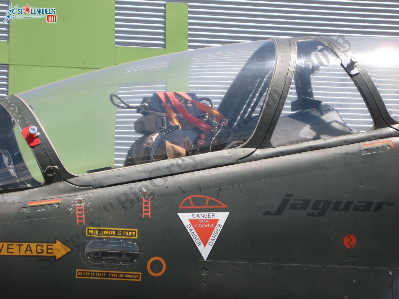 Jaguar T2_03.JPG