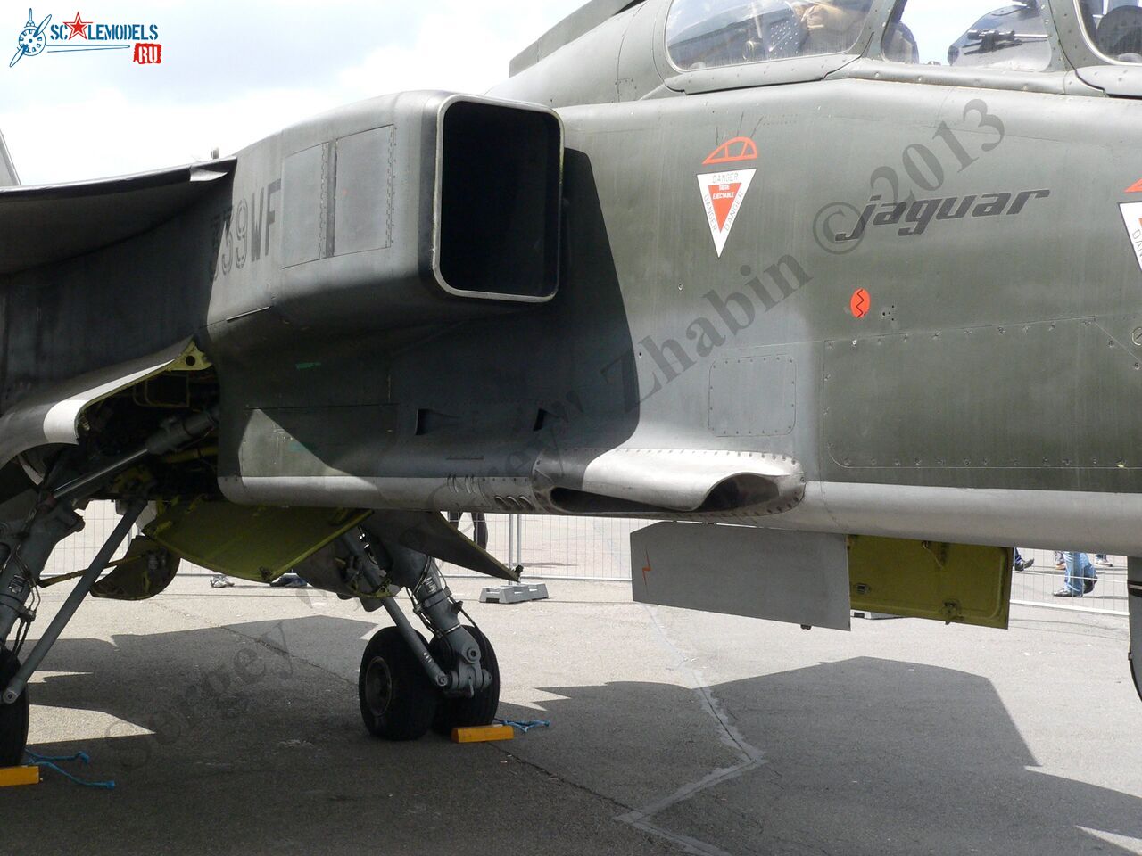 Jaguar T2_03_1.JPG