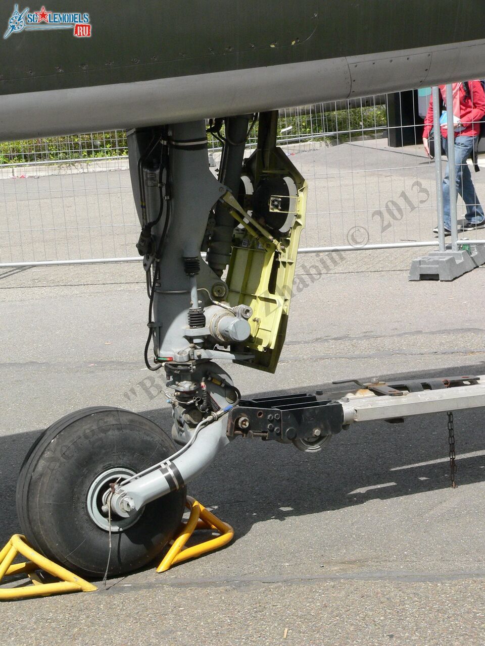 Jaguar T2_06_1.jpg