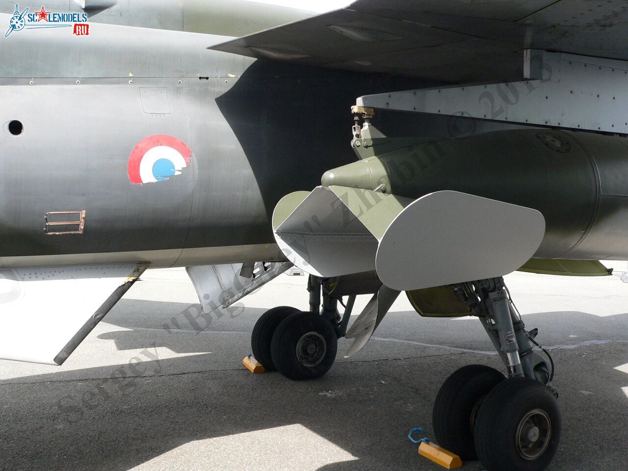 Jaguar T2_09_1.JPG