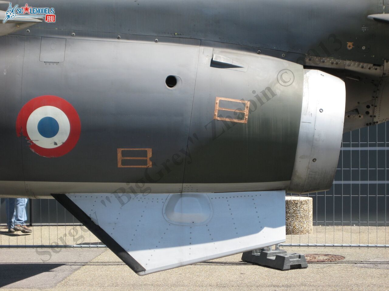 Jaguar T2_11.JPG