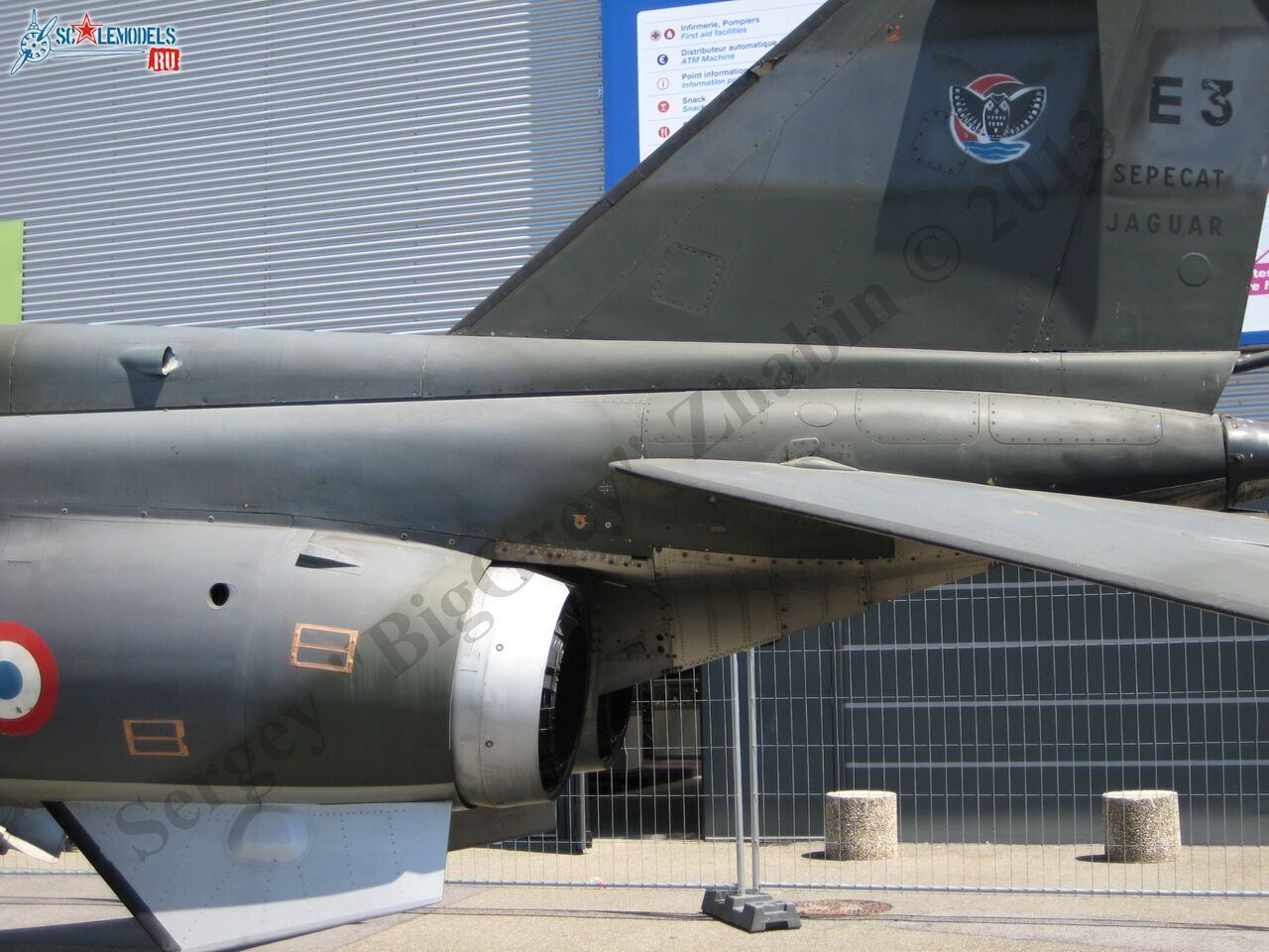 Jaguar T2_14.JPG