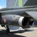 Jaguar T2_15.JPG