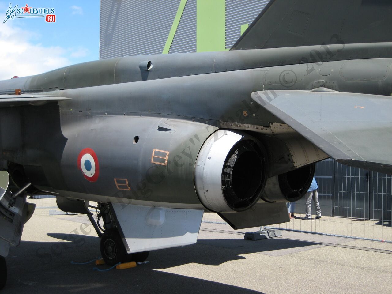 Jaguar T2_15.JPG