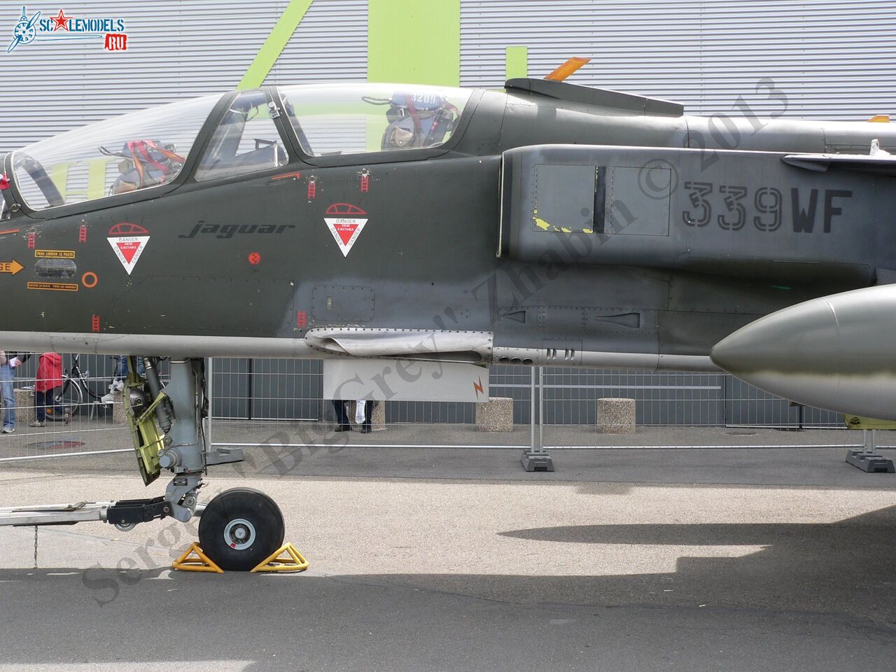 Jaguar T2_15_1.JPG