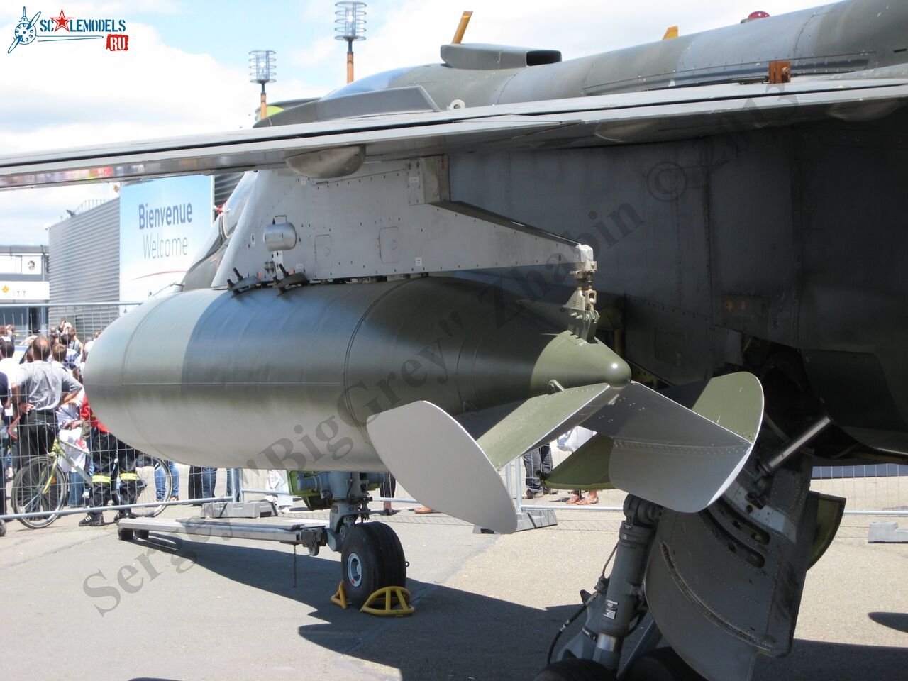 Jaguar T2_16.JPG