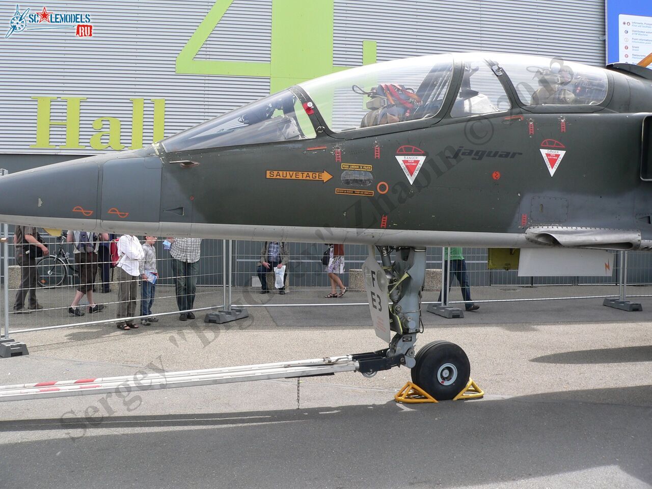 Jaguar T2_16_1.JPG