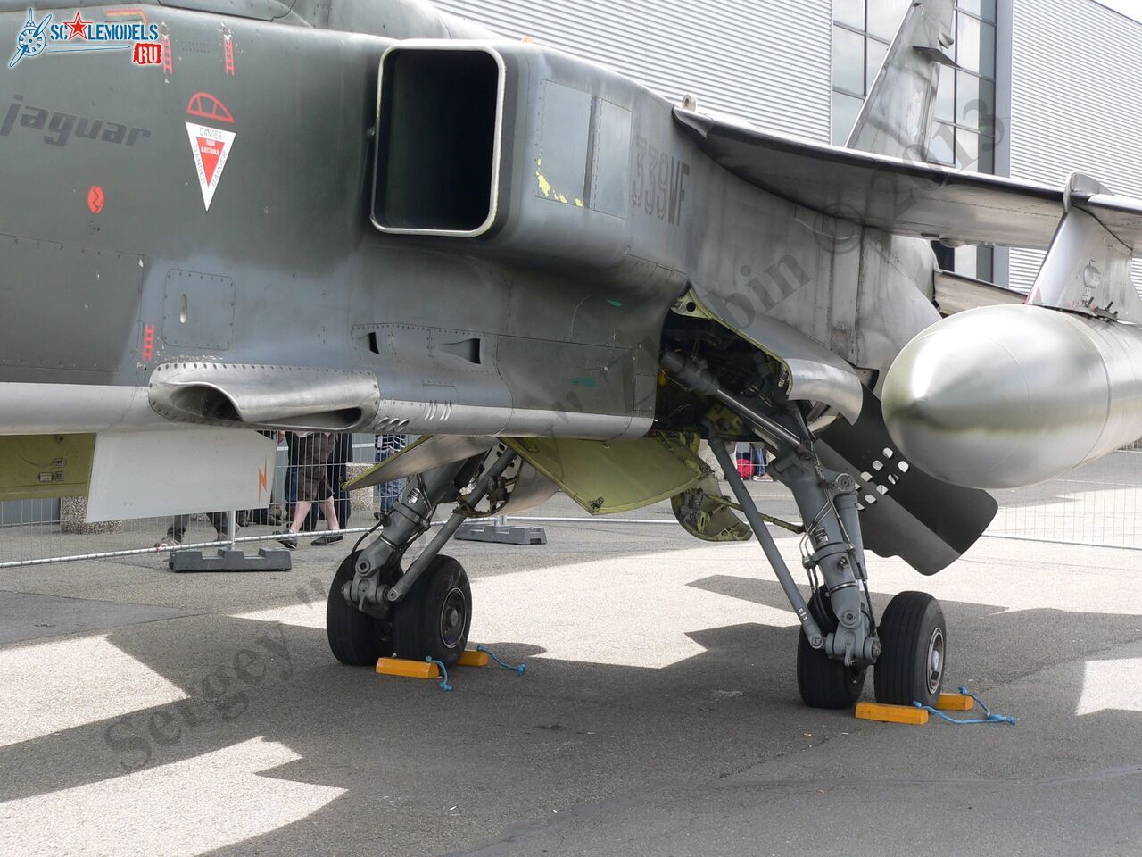 Jaguar T2_18_1.JPG