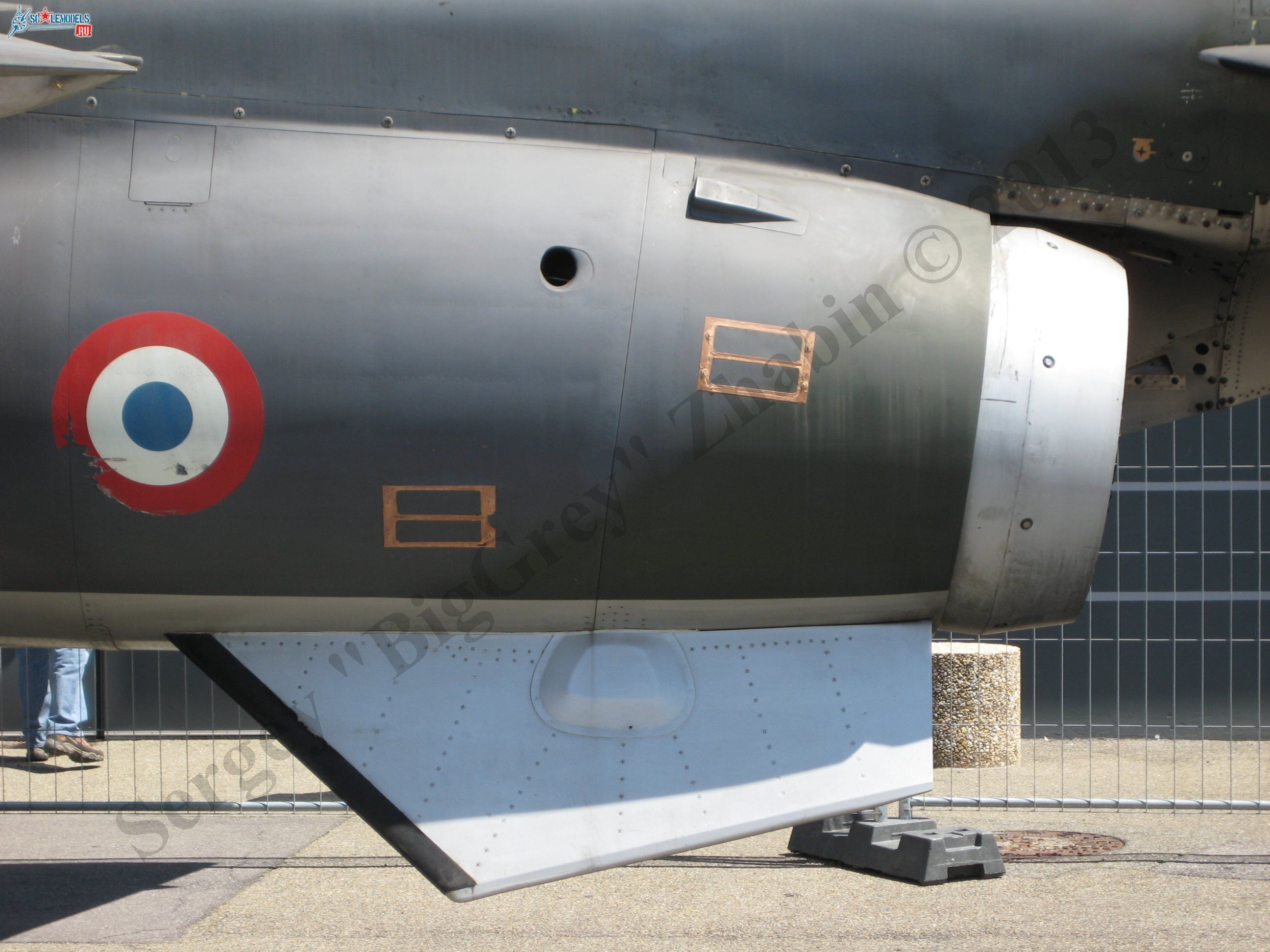 Jaguar T2_11.JPG