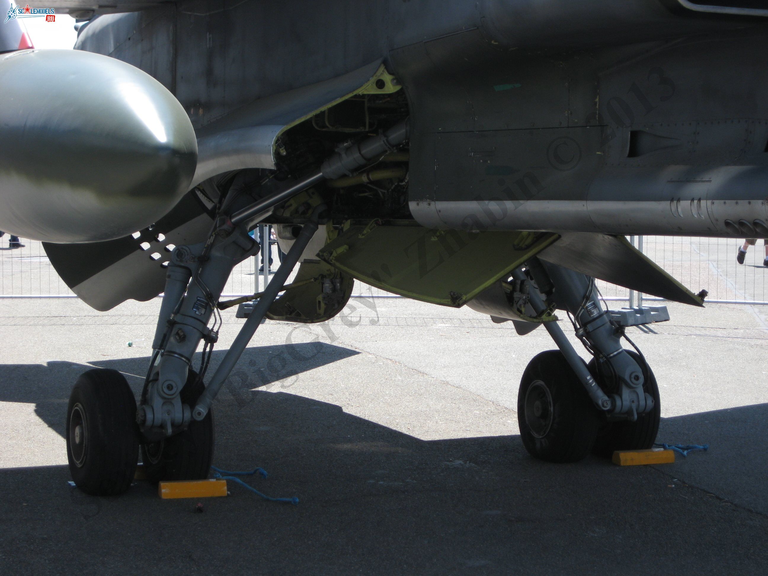 Jaguar T2_27.JPG