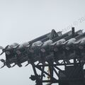 Katyusha_0065.jpg